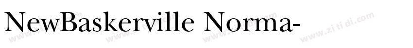 NewBaskerville Norma字体转换